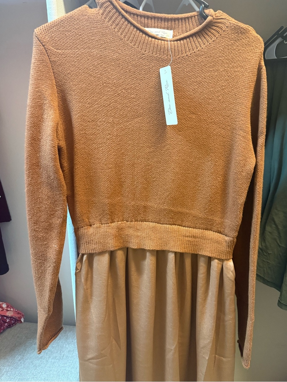 Rust Knit Bodice Dress with Tan Skirt